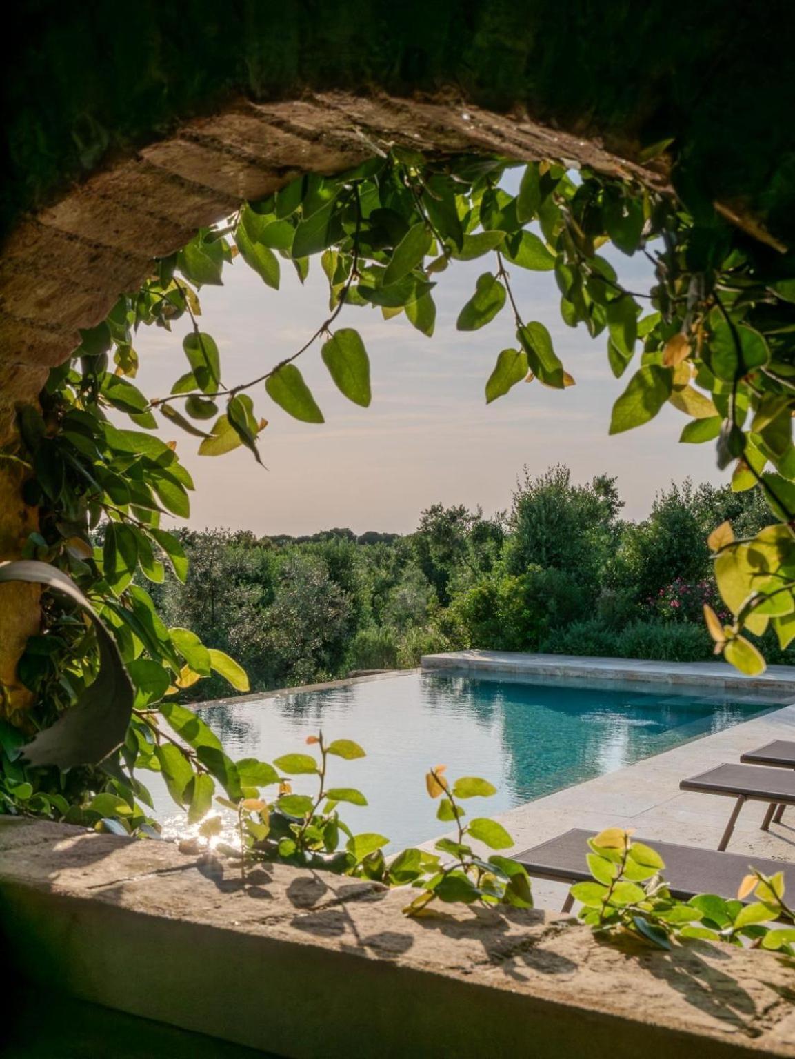 Podere Le Mezzelune Bibbona Exteriér fotografie